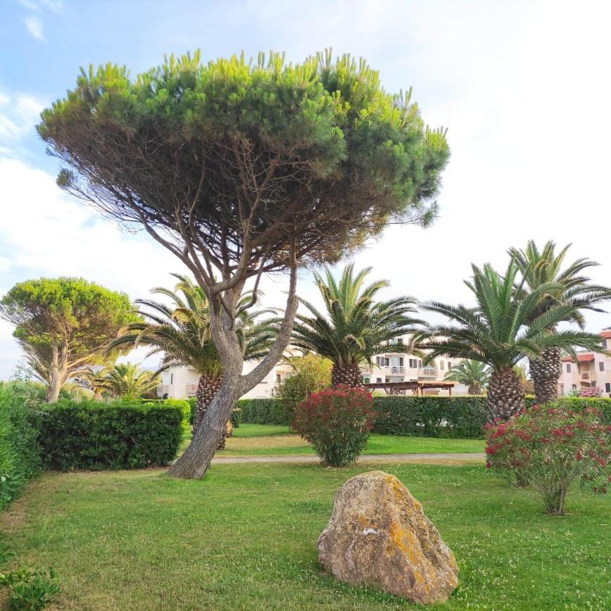 LES CAPITELLES - Accès direct à la plage depuis le jardin Saint-Cyprien (Pyrenees-Orientales) Exterior foto